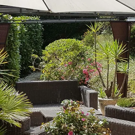 Charming In The Center Of *